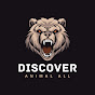 Discover animal all logo
