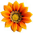 3jEmD70T0jE-channel-avatar-HORA TV
