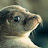 @AlGemini-g9r