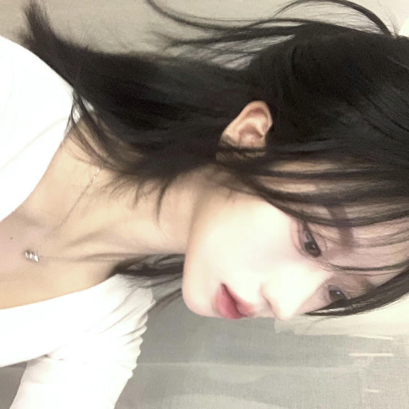 최고양이