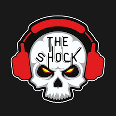 The Shock 13 net worth