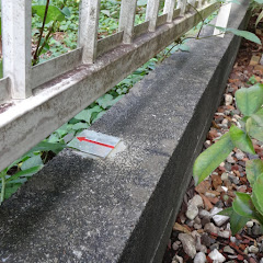 不動産賃貸業の経験を生かす! 賃貸不動産経営管理の専門家アイコン画像