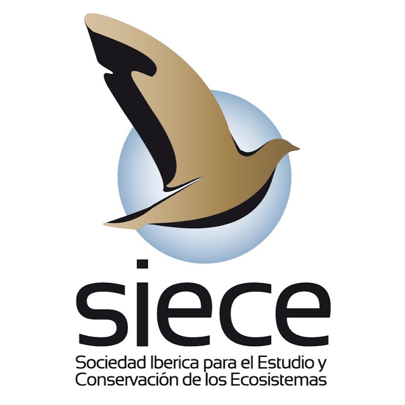 SIECE logo