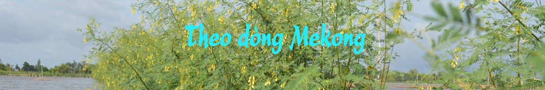 Mekong tv _ TÃ´i YÃªu Viá»‡t Nam YouTube-Kanal-Avatar