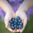 VOM7-wJgel0-channel-avatar-Blue Berry