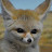 @Isupremacy Avatar