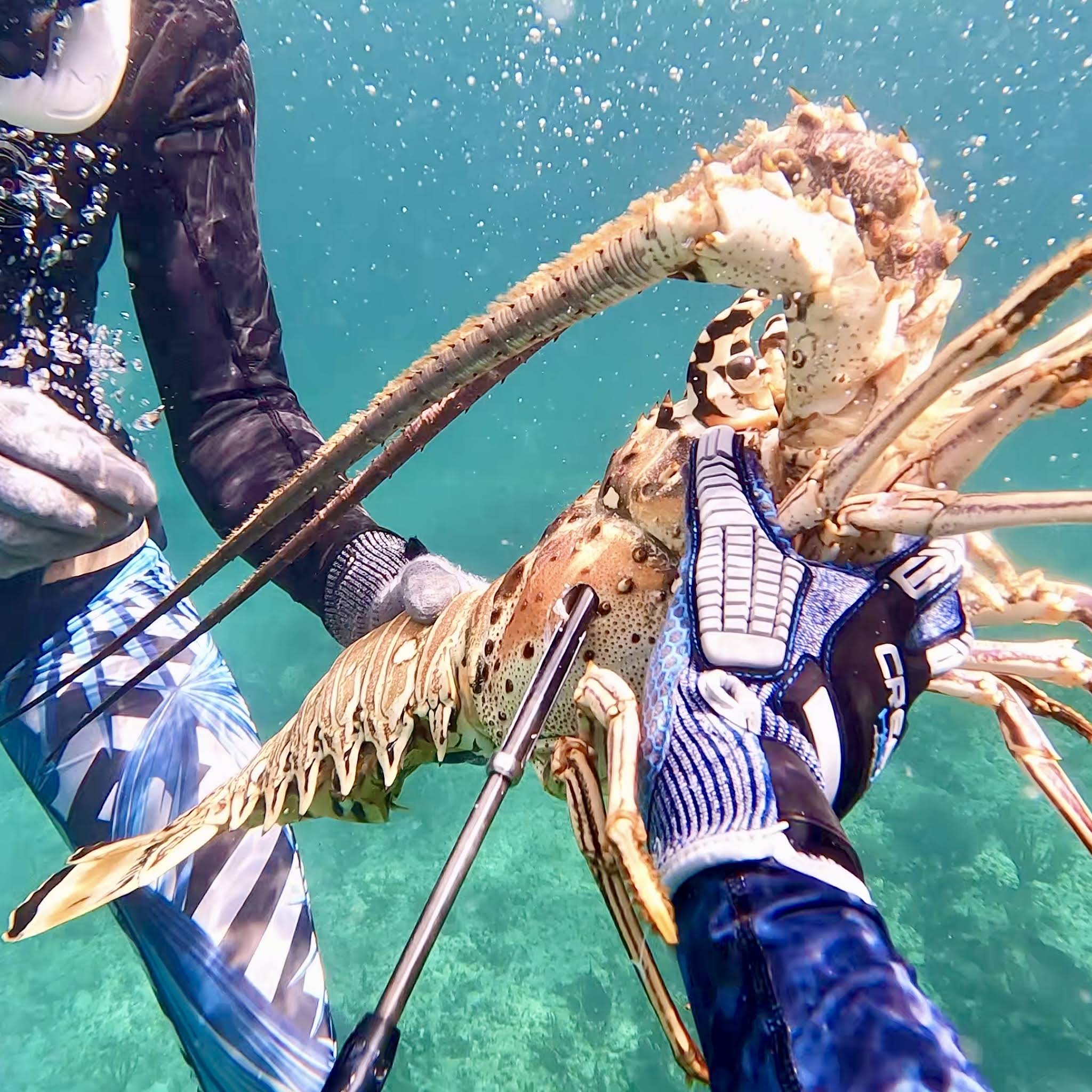 Post from Kelly Young