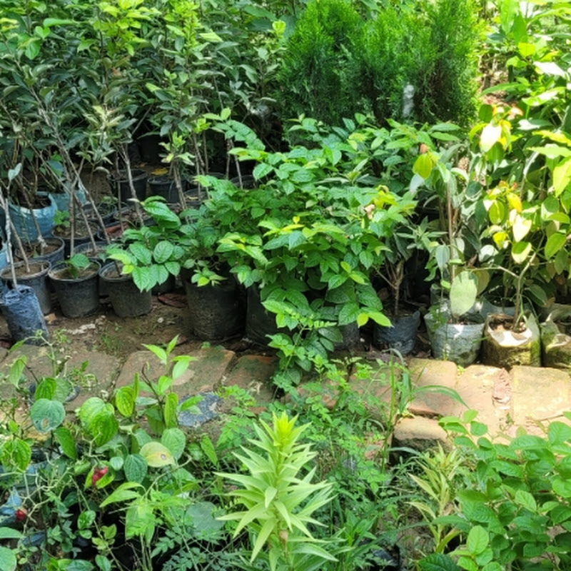 Gardening Mind