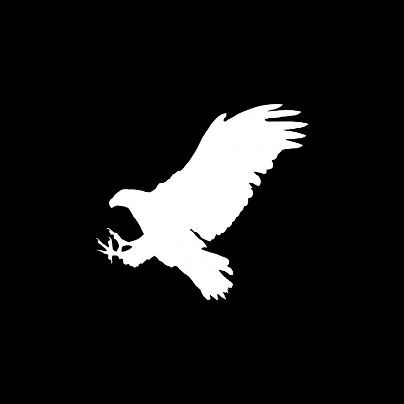 Wings Like Eagles