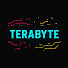 KItVNCTWl90-channel-avatar-TERABYTE
