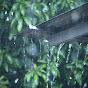 ASMR Heavy Rain Sounds logo