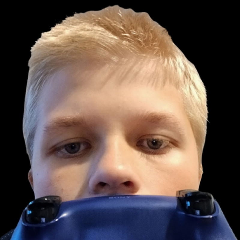 GamingwithAivars Logo