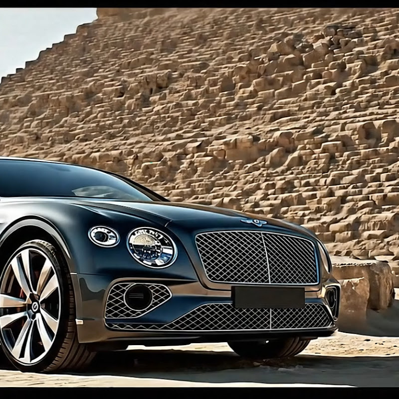 Car Crash Chronicles