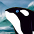 K-nho7EdKRY-channel-avatar-Everest Productions