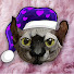 7SnLIgQ_S6U-channel-avatar-ASMRSleepyHead
