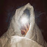 yKtAKTTNqYU-channel-avatar-موني | mony