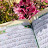 @nadahatem73