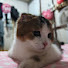 GMTpUBGaEIo-channel-avatar-หมู มู วอลเลย์