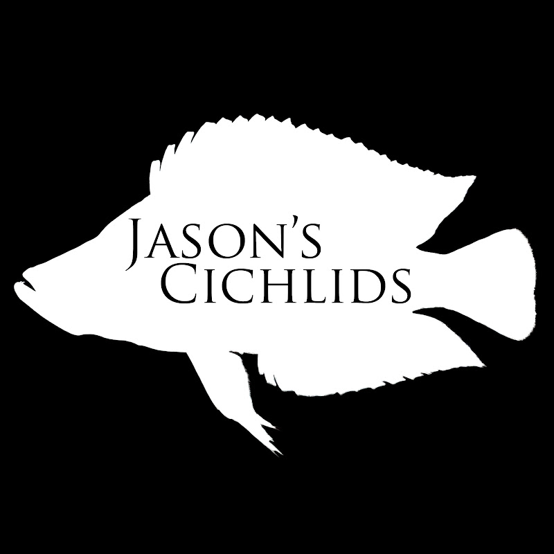 Jason's Cichlids icon