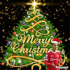 The merry Christmas cat