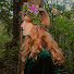 nSnmGuemoPE-channel-avatar-The Faeriewood Witch 