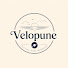 5t_uQjEbTNg-channel-avatar-Velopune