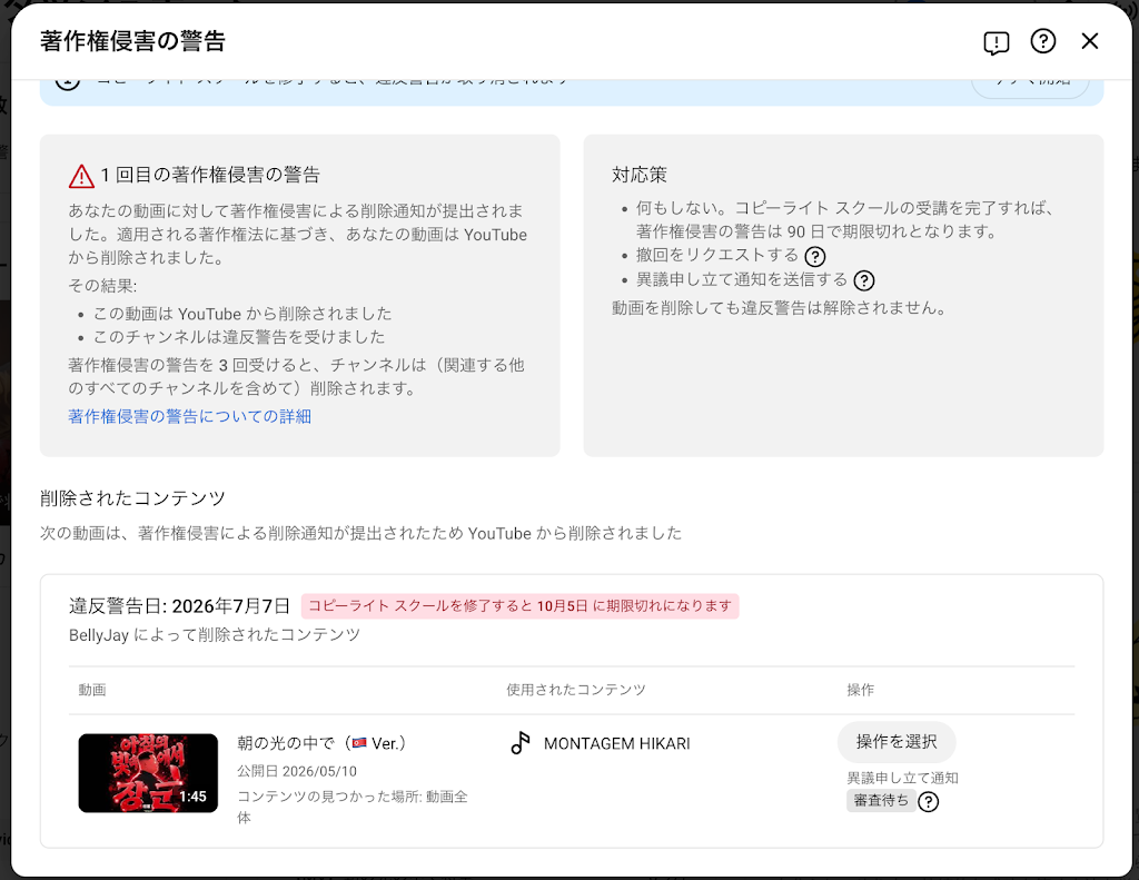ようちんページ YouTube
