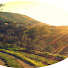 77zpEtQcVco-channel-avatar-Woodland