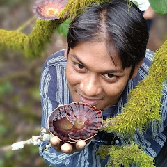 Khurshid Backpacker