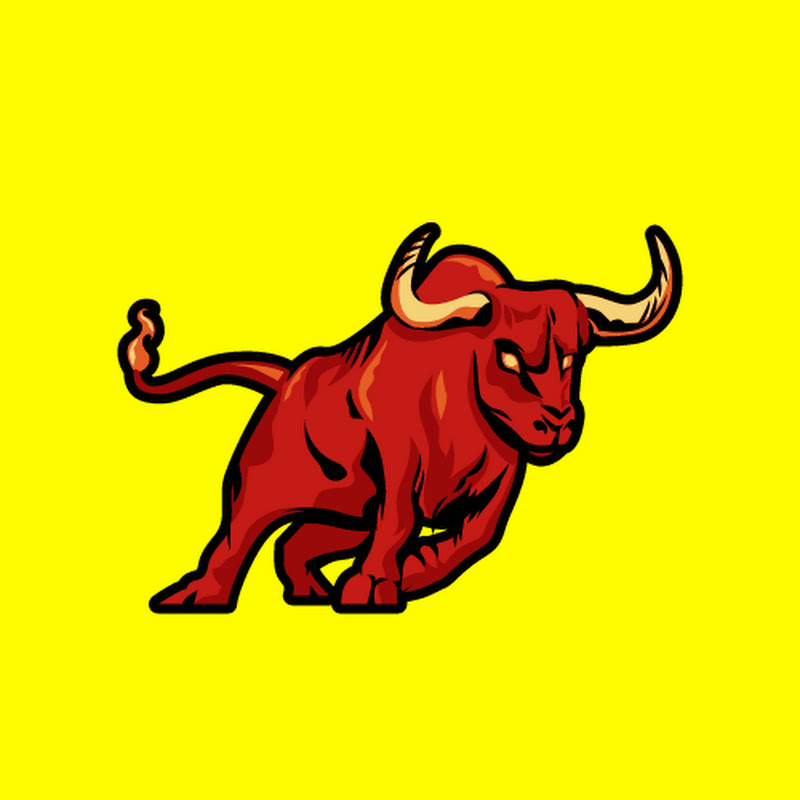 Bulls Trading