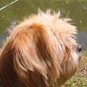 Madminniefishing adventures