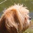 wcd63j8XMYM-channel-avatar-Madminniefishing adventures 