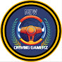 New Driving Gamerz logo