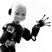 iCub HumanoidRobot