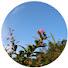 niydzCYSx1w-channel-avatar-JW