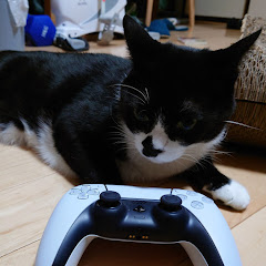 げん