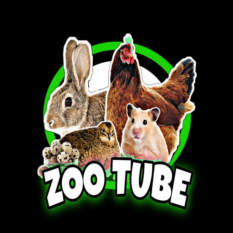 زوو تيوب | zoo Tube