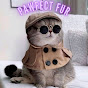 Pawfect Fur logo