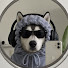 k1JoUKSFMrU-channel-avatar-Fayas Fayas