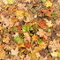 85dv1_lU53E-channel-avatar-Vintage Chaos