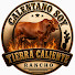 K32Rq1v_bWc-channel-avatar-Calentano Soy