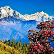 Heavenlynepal