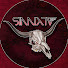 pIpsmOMDYQc-channel-avatar-Sinnix TV