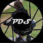 Primal Dynamic Studios logo