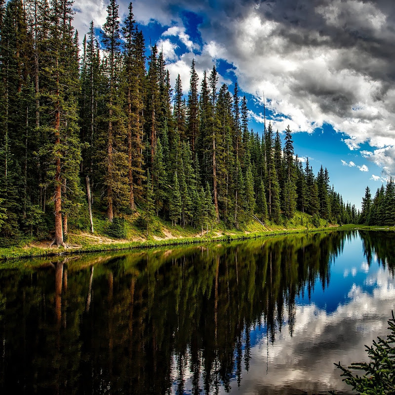 Music relax, goodbye stress