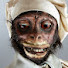 yVXNOJ4VEio-channel-avatar-Rotten Monkey Productions