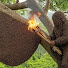 ugYeVIp3tFU-channel-avatar-Honey Hunter 102