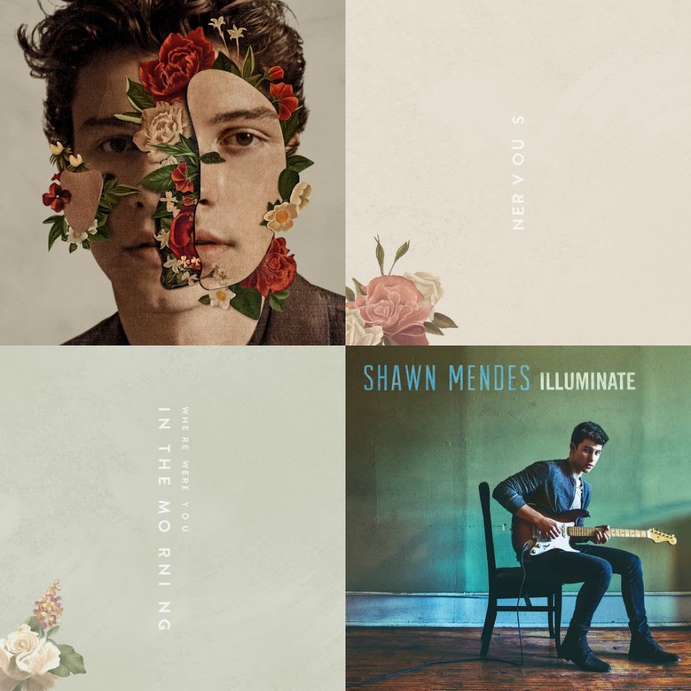 Shawn Mendes All Songs Playlist