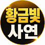 황금빛사연