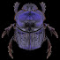 Bug Bum